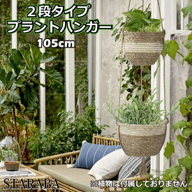 楽天市場 観葉植物 吊り下げ 屋外の通販 楽天市場 観葉植物 吊り下げ 屋外の通販