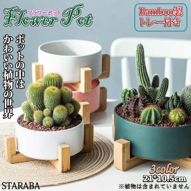寄せ植え 植木鉢 プラン 鉢 多肉植物鉢 サボテン鉢 竹トレー付き ハーブ セラミックス 陶器鉢 ポット 小型植物適用 オフィス 園芸 ガーデン 送料無料