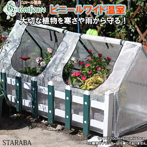 uGg[Ń|Cg10{ vrj[nEX rj[ ƒ؉ A O  oRj[ Jo[[AbvWbp[ 