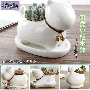 uGg[Ń|Cg10{ v~j v^[ Aؔ A T{e Z~bN g[t ~j ϗtA ETM lR Jo  z[  ̓ 