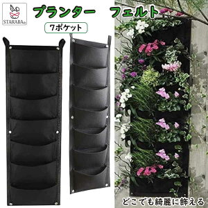 uՌP10{&őP10{v ̓ ͔||bg ݉ c ͔| ؉ v^[  A ϗtA Ă v[g 31v[g 