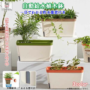 uՌP10{&őP10{v v^[ 27cm Aؔ  ʋ Xbg n[u A ItBX | K[f 