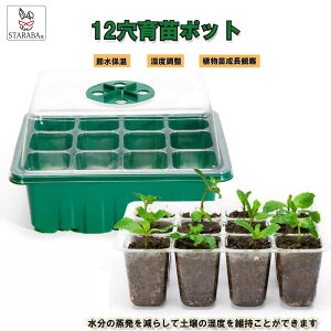 uvGg[I|Cg10{vcgCLbg x c ͔| ؉ ^ v^[  A ϗtA  Ă v[g 