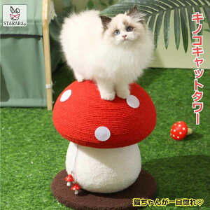 uvGg[I|Cg10{vLp ܂Ƃ^[ ̂ LmR Lbg^[ VRTCU  CeA ܂Ƃ|[ XgX   