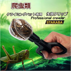 楽天市場 トカゲ 生餌の通販