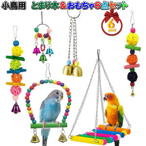 uGg[Ń|Cg10{ v CR IE Ƃ܂  6_Zbg Jt ݉ ؐ AX`bN 