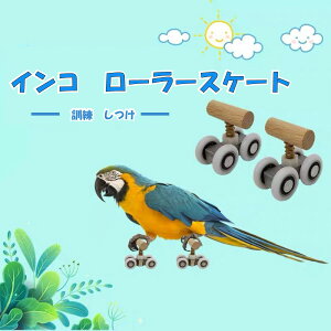 「エントリーで★ポイント10倍」小鳥 インコ オウム ローラースケート ストレス解消 しつけ 訓練 学習 遊び ストレス解消 運動 メール便 送料無料