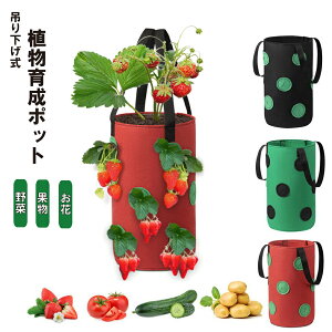 uՌP10{&őP10{v ͔||bg ݉ c ͔| ؉ v^[  A ϗtA  Ă v[g C`S 