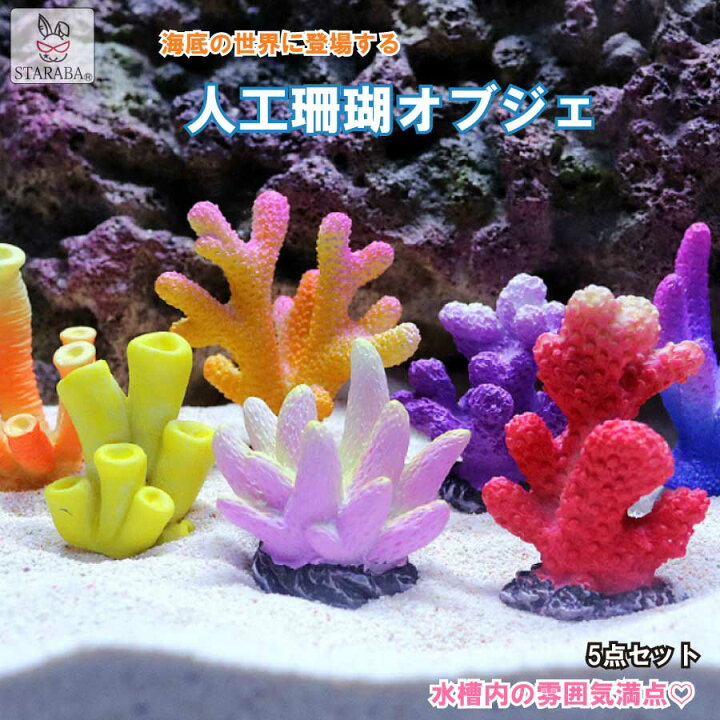 楽天市場】【最大1,500円OFF クーポン】 5個セット 人工珊瑚 