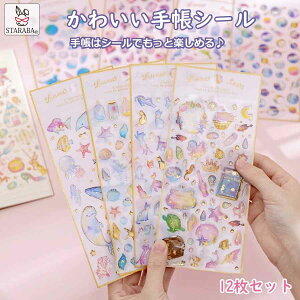 u܂ő做P20{v蒠 V[ 킢 12Zbg 蒠V[ 蒠XebJ[ V[ fRV[ LL fR  蒠pV[ 