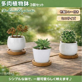 3点セット 多肉植木鉢 陶器鉢 サボテン ミニ鉢 観葉植物ポット おしゃれ バンブートレイ付き 底穴付き 鉢植え インテリア 観葉植物 事務室 北欧風 装飾 母の日 プレゼント ギフト 送料無料