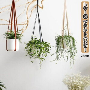 ハンギング 観葉植物 その他の農業資材 ガーデニング用品の人気商品 通販 価格比較 価格 Com