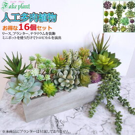 楽天市場 サボテン フェイク 大の通販