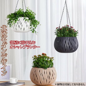 楽天市場 ハンギングバスケット 室内 ガーデニング 農業 花 ガーデン Diy の通販