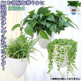 楽天市場 ハンギングバスケット 室内の通販