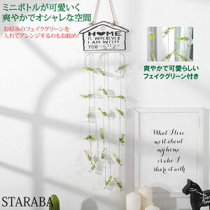 uGg[Ń|Cg10{ vǏ {[h Ǌ| _ tFCNO[  킢 A ݉ 