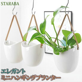 楽天市場 観葉植物 ハンギング 屋外の通販 楽天市場 観葉植物 ハンギング 屋外の通販