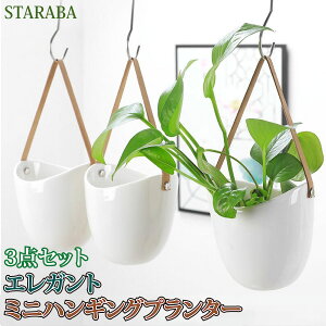 uՌP10{&őP10{v nMOv^[ 3_Zbg nMOoXPbg ݂艺  ϗtA Aؔ |bg Z~bN CeA O 