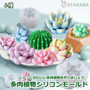 uՌP10{&őP10{v VR[h A^ W^ VR^ A Wg VR W^ W UVW  A T{e ȒP SҌ 