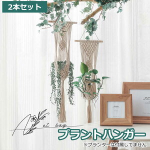 uՌP10{&őP20{ vvgnK[ ݂X^h 2Zbg O  A nK[}N ϗtA ݂艺 [v nMOv^[  v^[͕tĂ