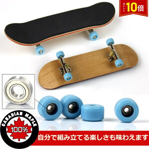 uvGg[I|Cg10{vwXP tBK[{[h gݗĎwXP XP[g{[h D̃XP[^[ 