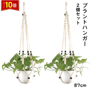 uvGg[I|Cg10{vvgnK[ ݂X^h 2Zbg O  A nK[}N ϗtA ݂艺 [v nMOv^[  v^[͕t