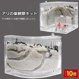 uvGg[I|Cg10{vȂ ώ@Lbg Ȃώ@Lbg A  ώ@ P[X  R w Lbg  a Zbg Zbg ώ@ H j̎q 