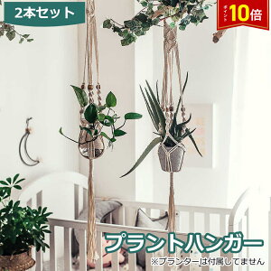 uGg[Ł|Cg10{vvgnK[ ݂X^h 2Zbg O  A nK[}N ϗtA ݂艺 [v nMOv^[  v^[͕t