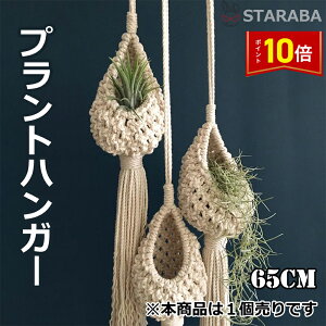 uՌP10{&őP10{v vgnK[ ݂X^h O  A nK[}N ϗtA ݂艺 [v nMOv^[ 65cm  v^[͕tĂ܂