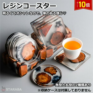 uvGg[I|Cg10{vR[X^[ fUC G|LV ꂢ 킢 qp Mtg v[g  CeAG 