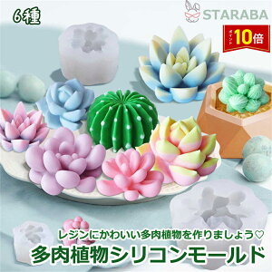 u܂ő做P20{vVR[h A^ W^ VR^ A Wg VR W^ W UVW  A T{e ȒP SҌ 