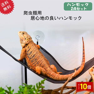 uvGg[I|Cg10{v঒ gJQ nbN bV 2_Zbg NbN|Xg 