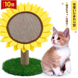 uvGg[I|Cg10{vЂ܂  Lp܂Ƃ ^[ CeA ܂Ƃ XgX 