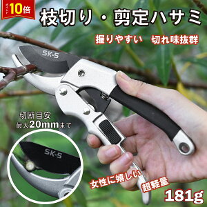 uGg[Ł|Cg10{v΂ ͂ nT~  K[f | }؂ }؂΂ bN   NbN|Xg 