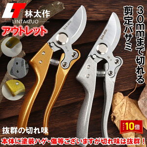 uGg[Ł|Cg10{v󂠂 ʌ AEgbg ΂ ͂ 30mm nT~  K[f | }؂ }؂΂ bN   