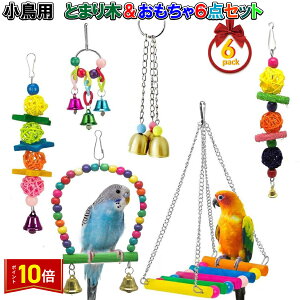 uGg[Ł|Cg10{v CR IE Ƃ܂  6_Zbg Jt ݉ ؐ AX`bN 