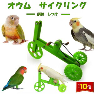 「エントリーで★ポイント10倍」三輪車 小鳥 インコ オウム 自転車 しつけ 訓練 学習 遊び ストレス解消 運動 送料無料