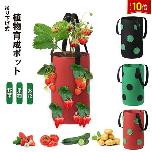 uvGg[I|Cg10{v͔||bg ݉ c ͔| ؉ v^[  A ϗtA  Ă v[g C`S 