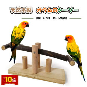 「エントリーで★ポイント10倍」小鳥 インコ オウム シーソー ストレス解消 しつけ 訓練 学習 遊び ストレス解消 運動 送料無料
