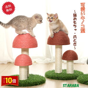 uvGg[I|Cg10{vLp܂Ƃ^[ ̂ LmR Lbg^[ CeA ܂Ƃ|[ XgX  