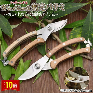 uGg[Ł|Cg10{v΂ ؐnh IV nT~  K[f | }؂ }؂΂ ɂ   [ 