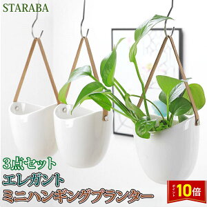 uvGg[I|Cg10{vnMOv^[ 3_Zbg ̓ nMOoXPbg ݂艺  ϗtA Aؔ |bg Z~bN CeA O 