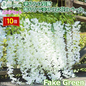 uvGg[I|Cg10{vtFCNO[ ̉  110cm Ǌ| Ǒ ͂Ȃ ϗtA  ݂艺 CeA IV p[eB p[eB[ ԗ 