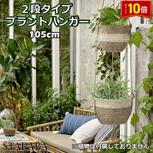 uvGg[I|Cg10{vvgnK[ 2i nMOoXPbg ݂蔫 ݂艺 nMOv^[ ϗtA t[|bg Aؔ Ԕ |  O 