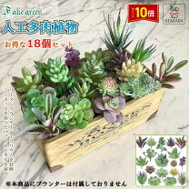 楽天市場】リース 多肉 フェイク 造花の通販 