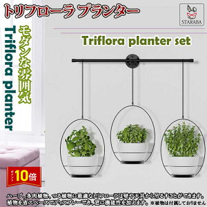 「エントリーで★ポイント10倍」 母の日 トリフローラ プランター 収納 鉢 植木鉢 鉢植え 観葉植物 フラワーポット 植木鉢 花鉢 園芸 屋内 送料無料