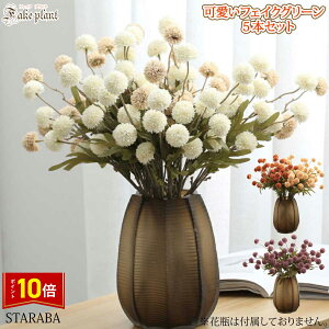 uvGg[I|Cg10{vtFCNO[ 5{Zbg ͂Ȃ ϗtA  ݂艺 CeA IV p[eB ԗ 