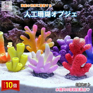 uGg[Ł|Cg10{v5Zbg lHX ANAE TS ~j`A pi I[ig Cmi i Ϗܗp  킢 ANZT[ 背W  