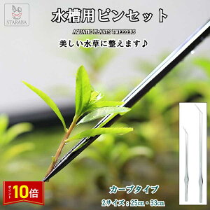 uvGg[I|Cg10{vpsZbg sZbg  O g~O ANAE n[oE ঒ގ A XeX ~ J[u | 