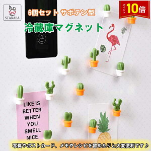 「エントリーで★ポイント10倍」6個セット 冷蔵庫マグネット 磁石デザイン サボテン 3D立体 キッチン ホワイトボード ホームデコ メッセージボード 文具 伝言 装飾 メール便 送料無料